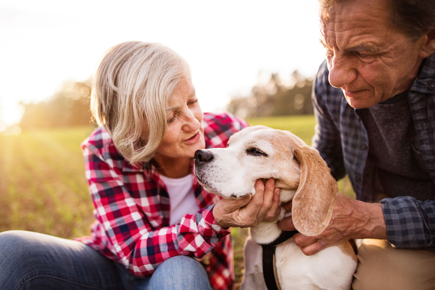Cardiology photo with couple playing with dog